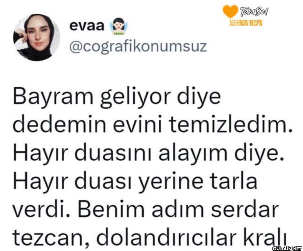 Tax Bet 555 BEDAVA...