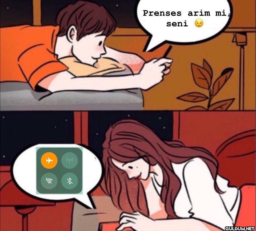 Prenses arim mi seni *