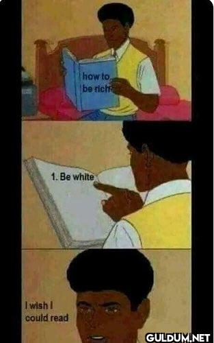 how to be rich 1. Be white...
