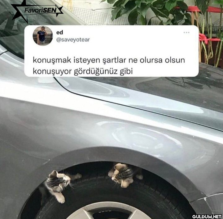 konuşmak isteyen şartlar...