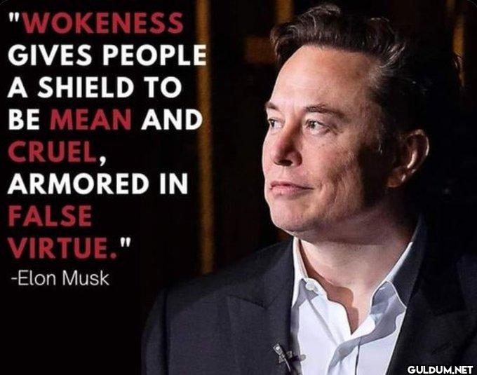Pretty much.    "WOKENESS...