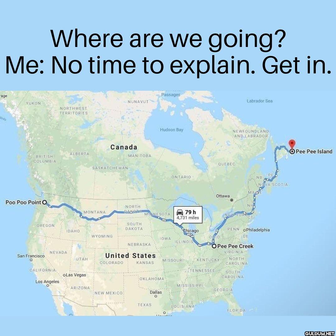 Who’s up for a road trip? ...