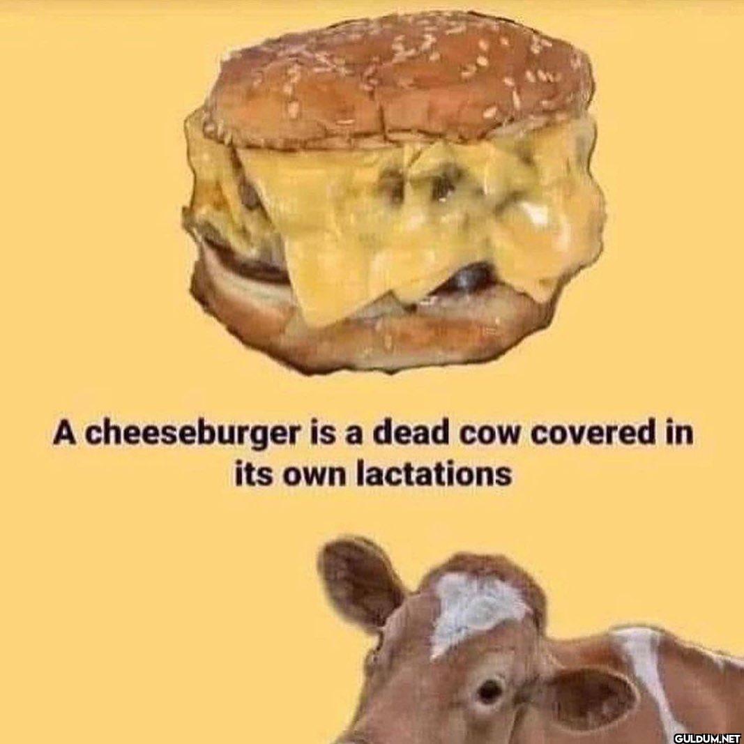 A cheeseburger is a dead...