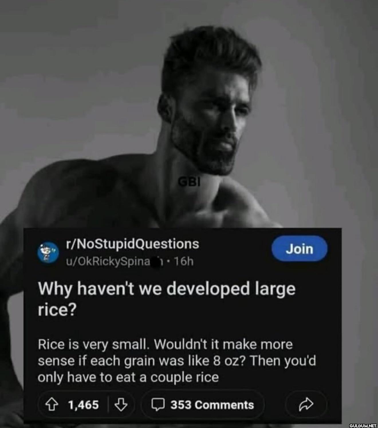 GBI r/NoStupidQuestions...