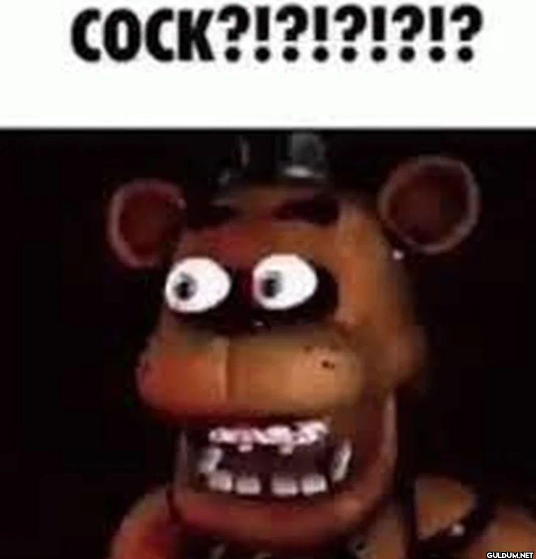 COCK?!?!?!?!??
