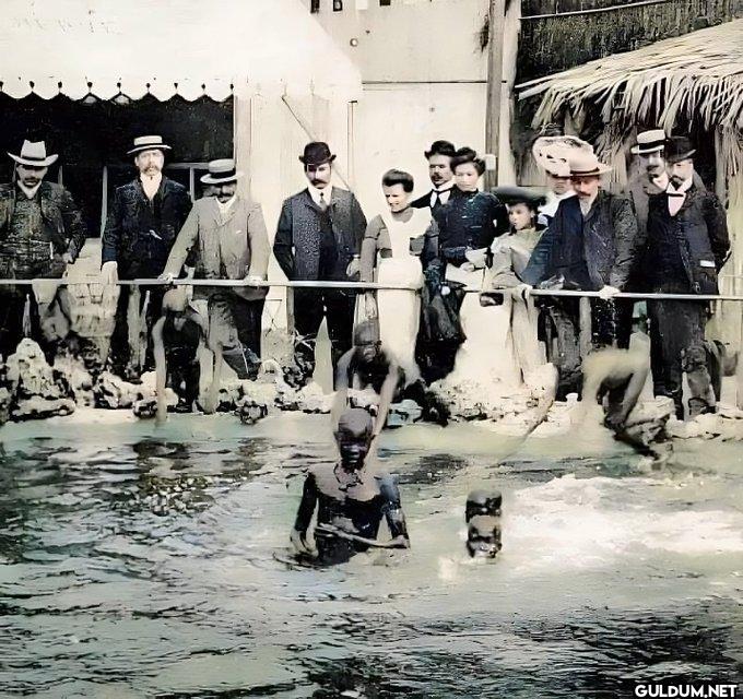 7.Human Zoo in Paris,...