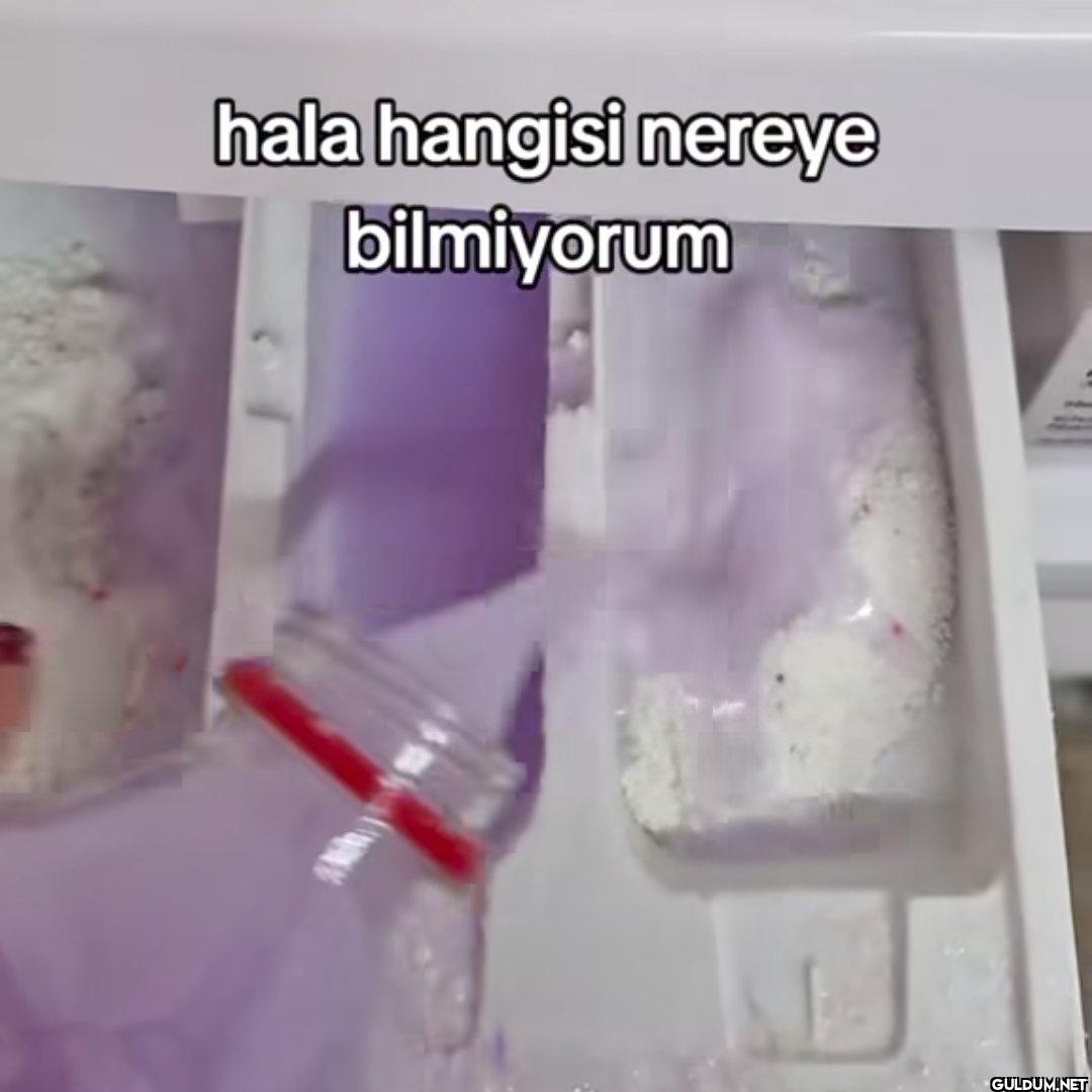 hala hangisi nereye bilmiyorum