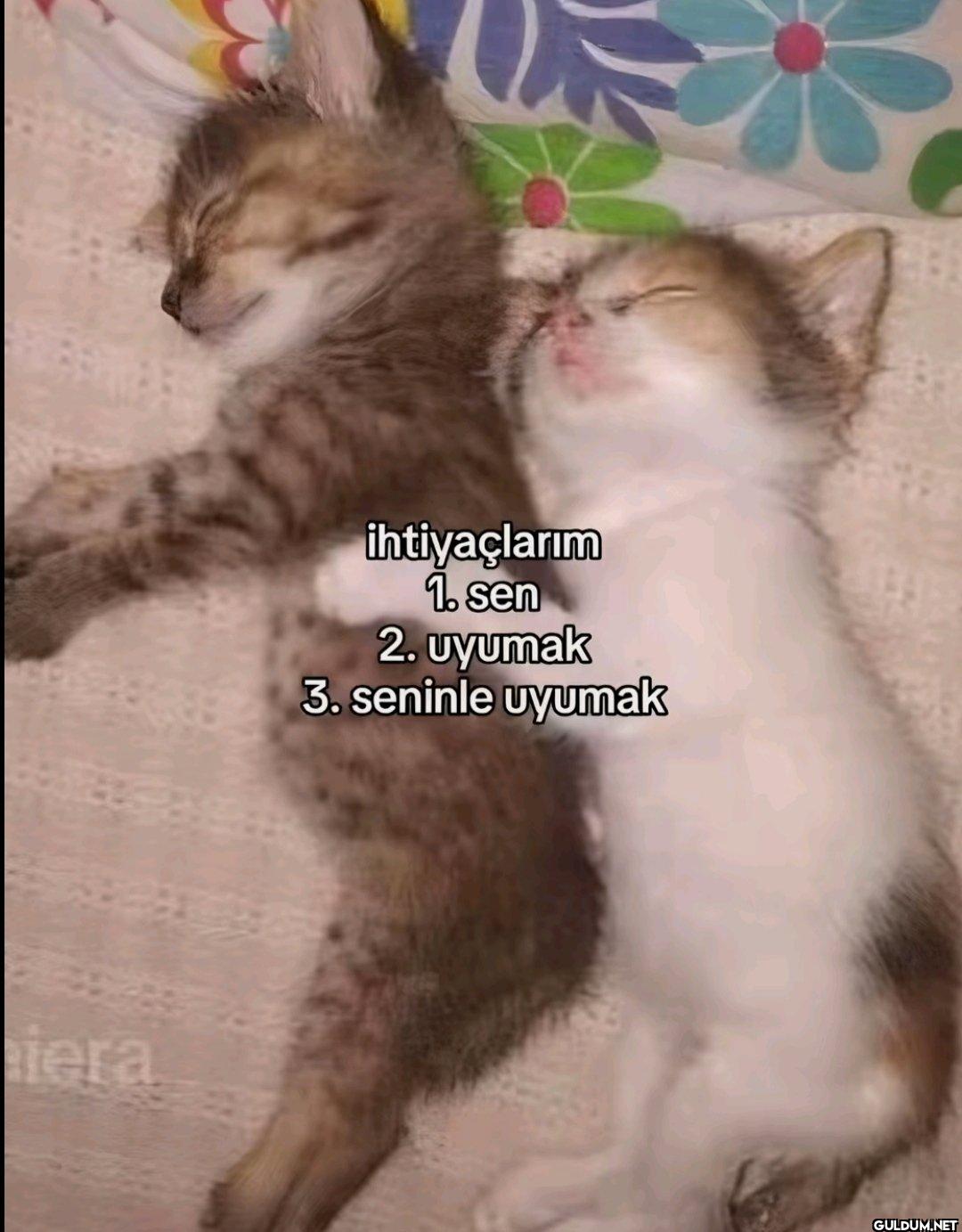 Popular post