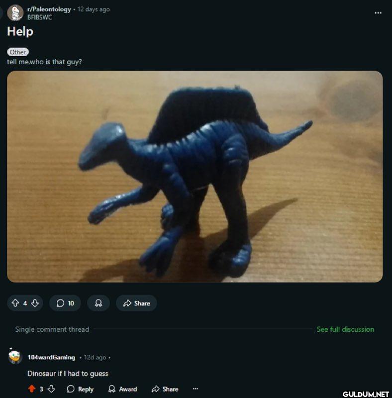 r/Paleontology. 12 days...