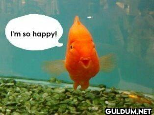 I'm so happy!