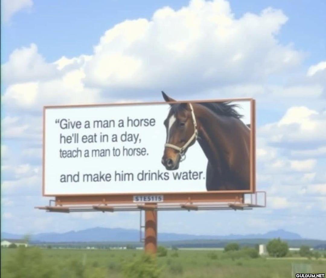"Give a man a horse he'll...
