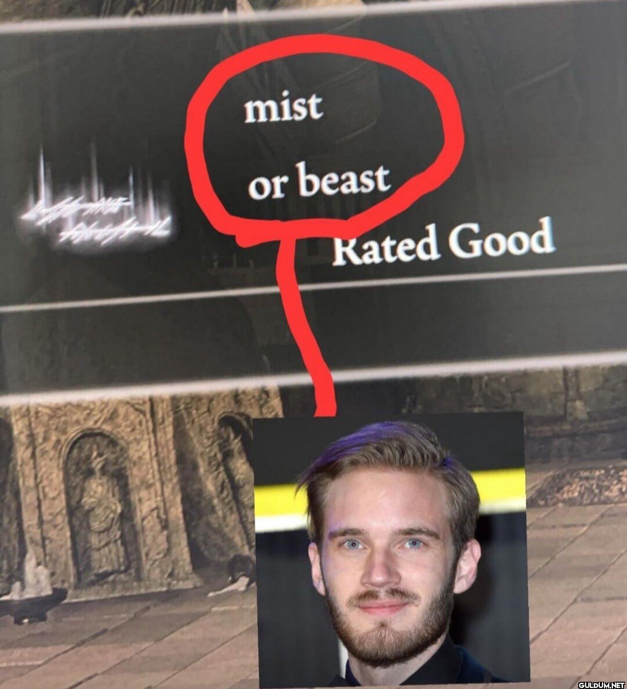 mist or beast Kated Good