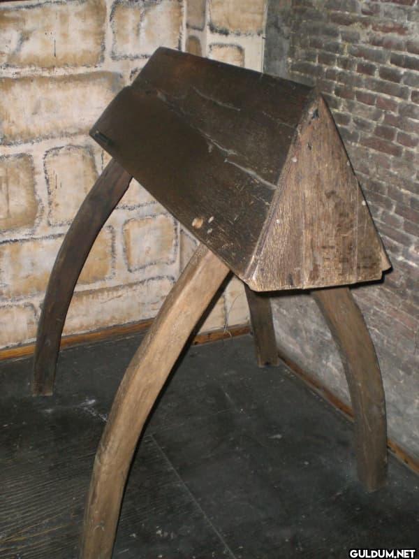The Spanish Horse was a...