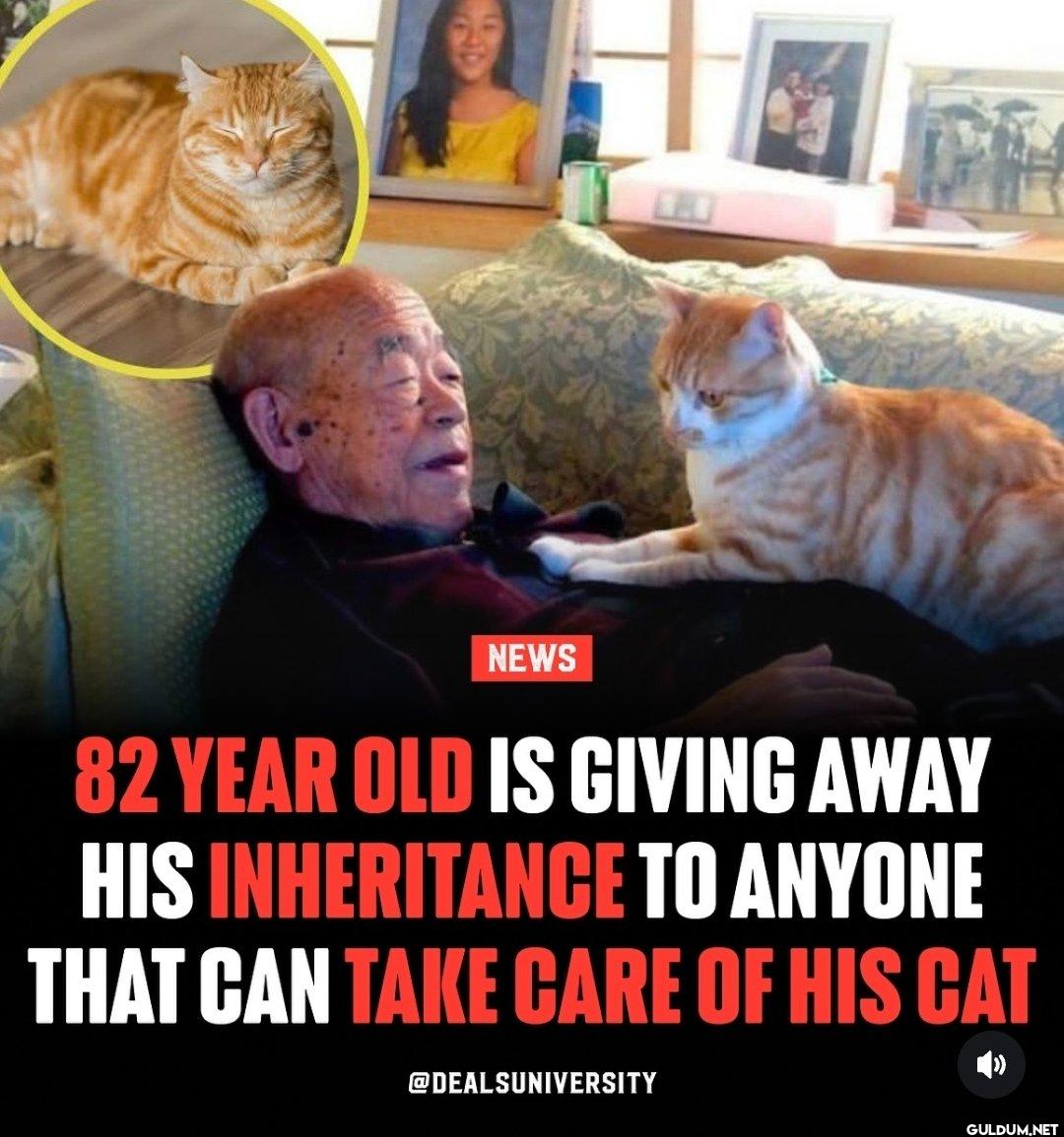 I volunteer.    NEWS 82...