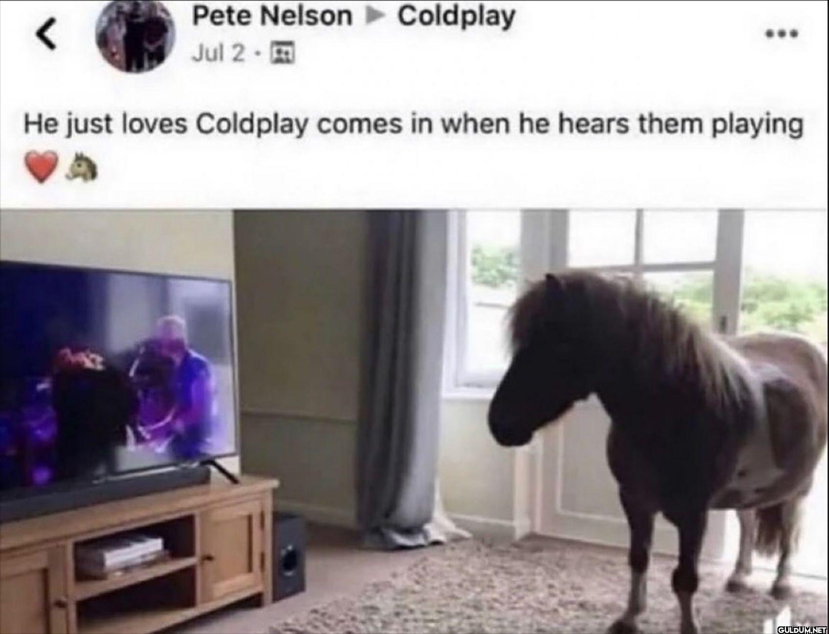Pete Nelson Coldplay He...