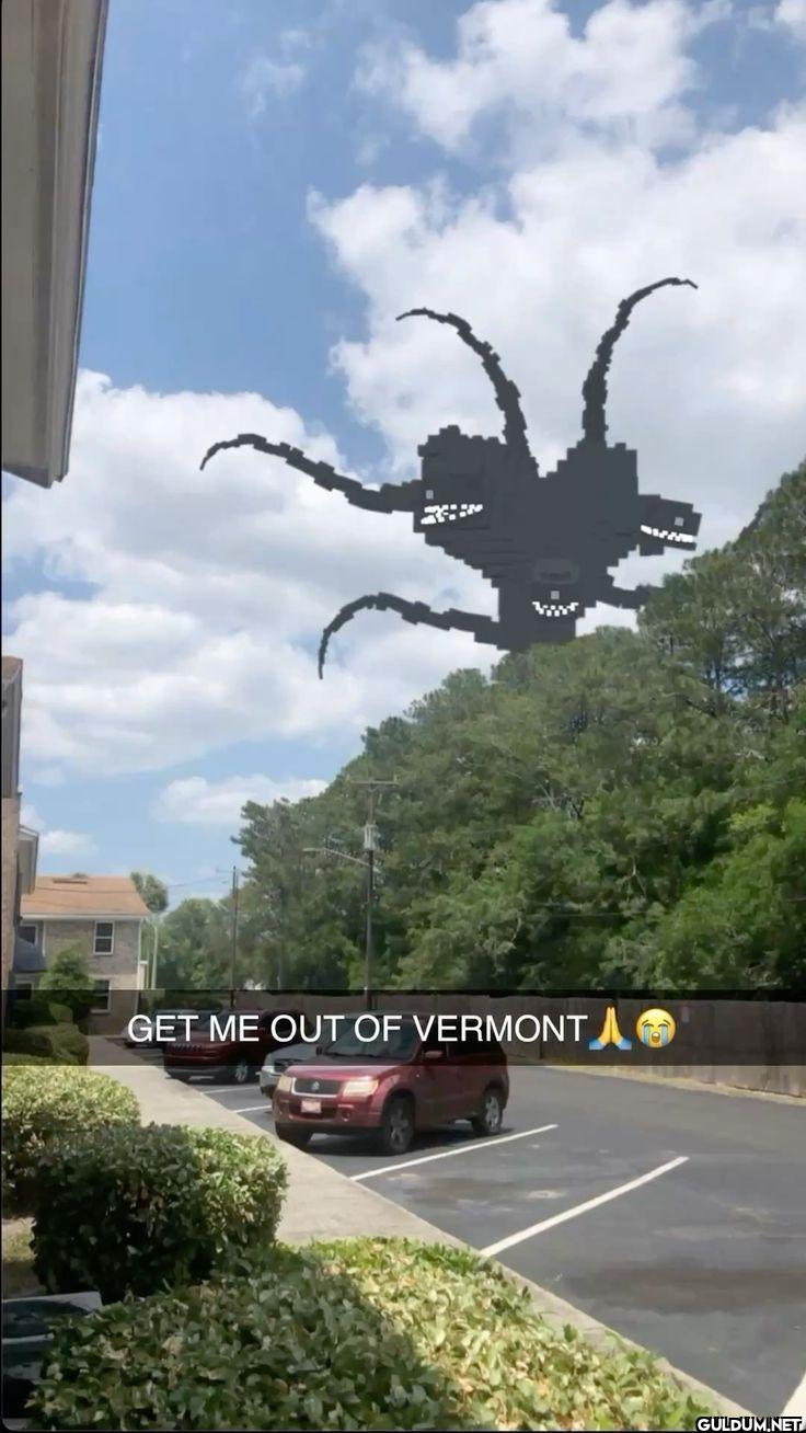 GET ME OUT OF VERMONT