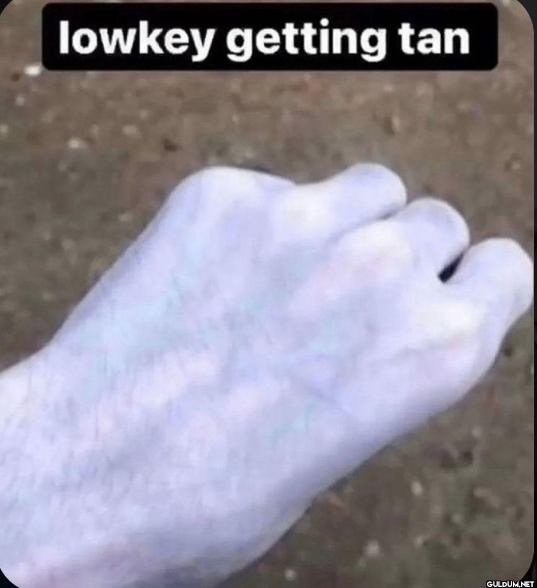 lowkey getting tan