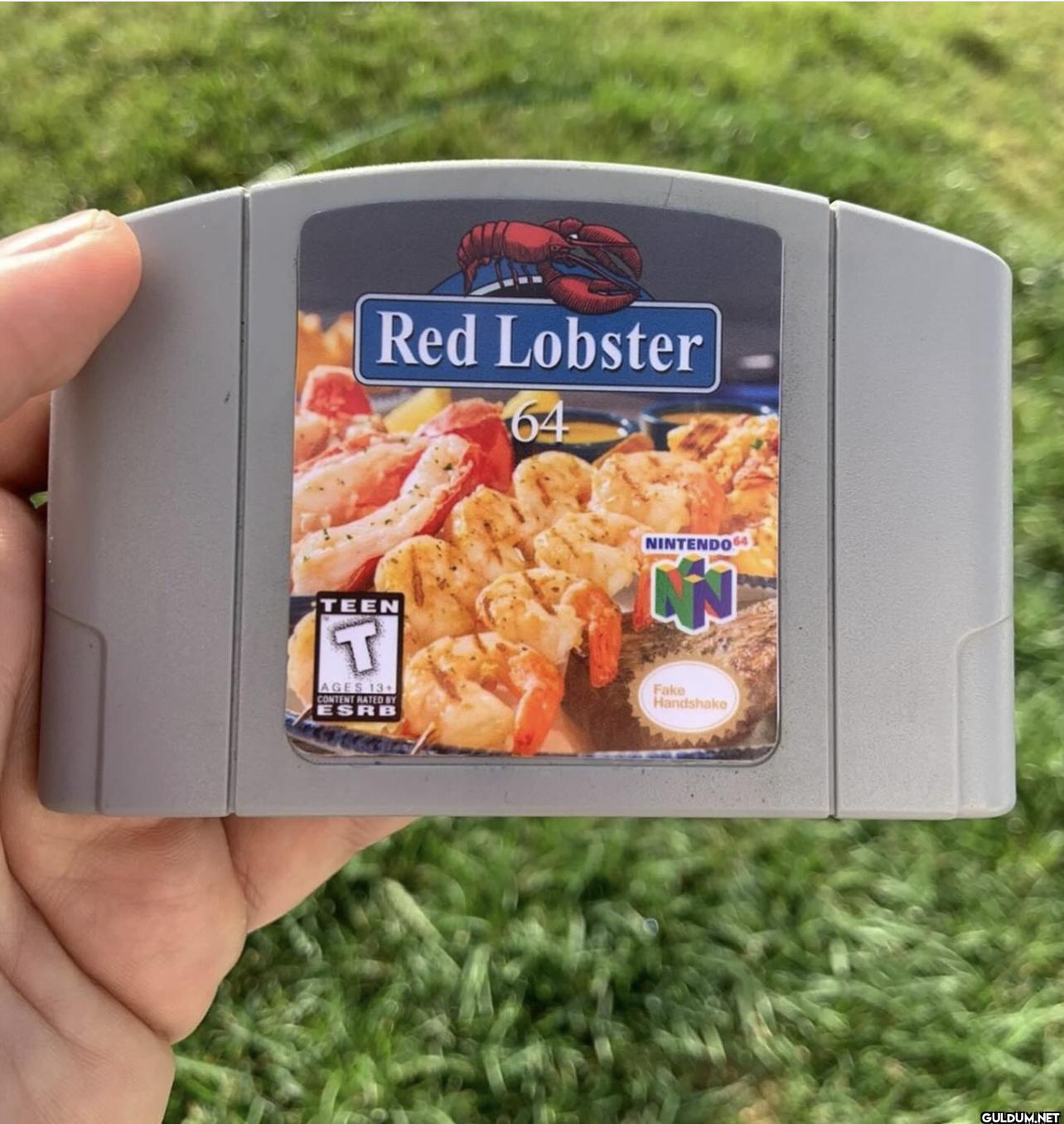 Red Lobster 64 TEEN T AGES...