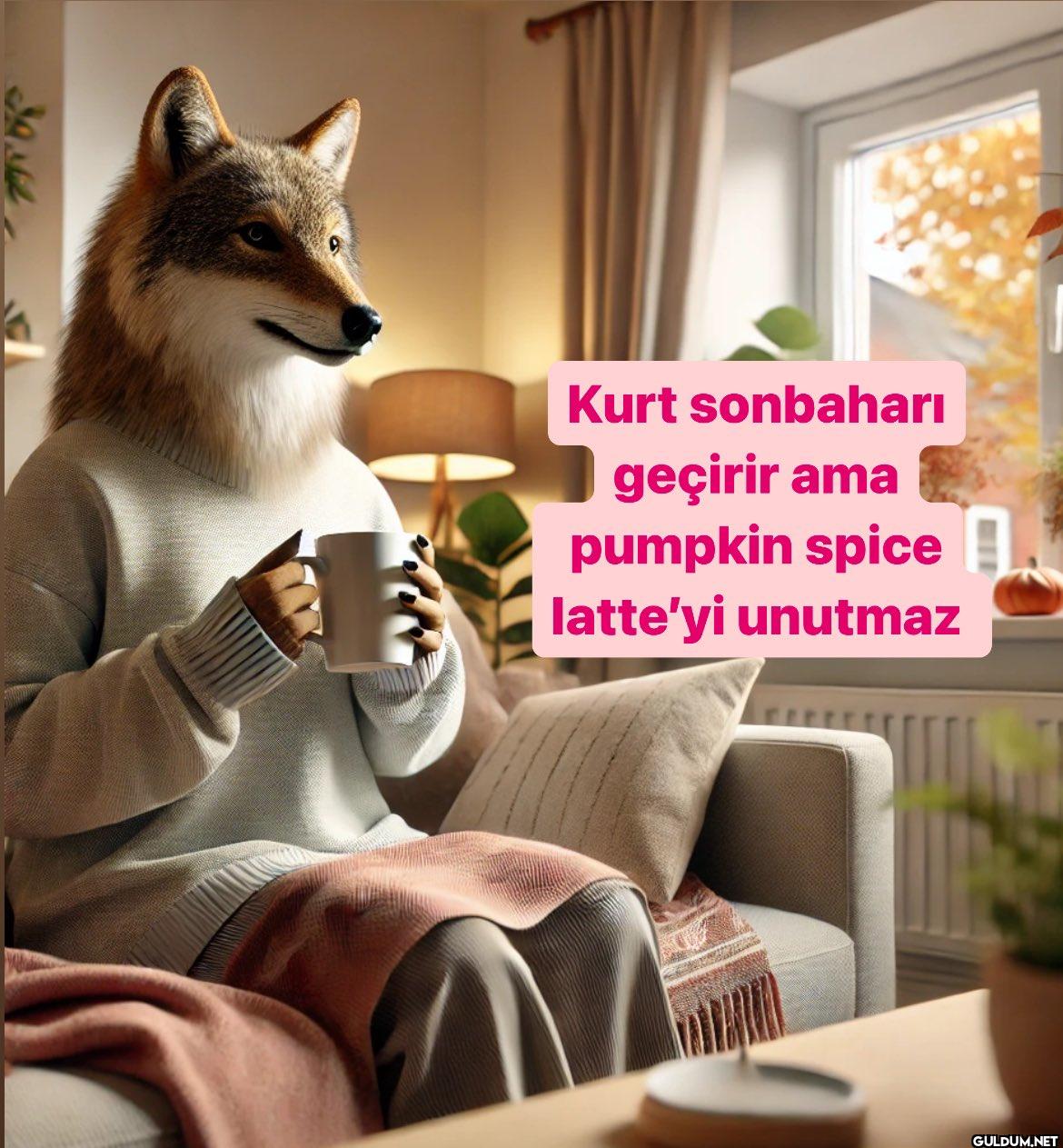 39.362 Kurt sonbaharı...