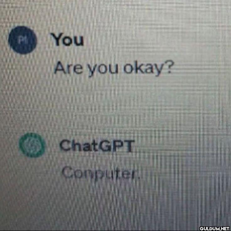 You Are you okay? ChatGPT Computer.