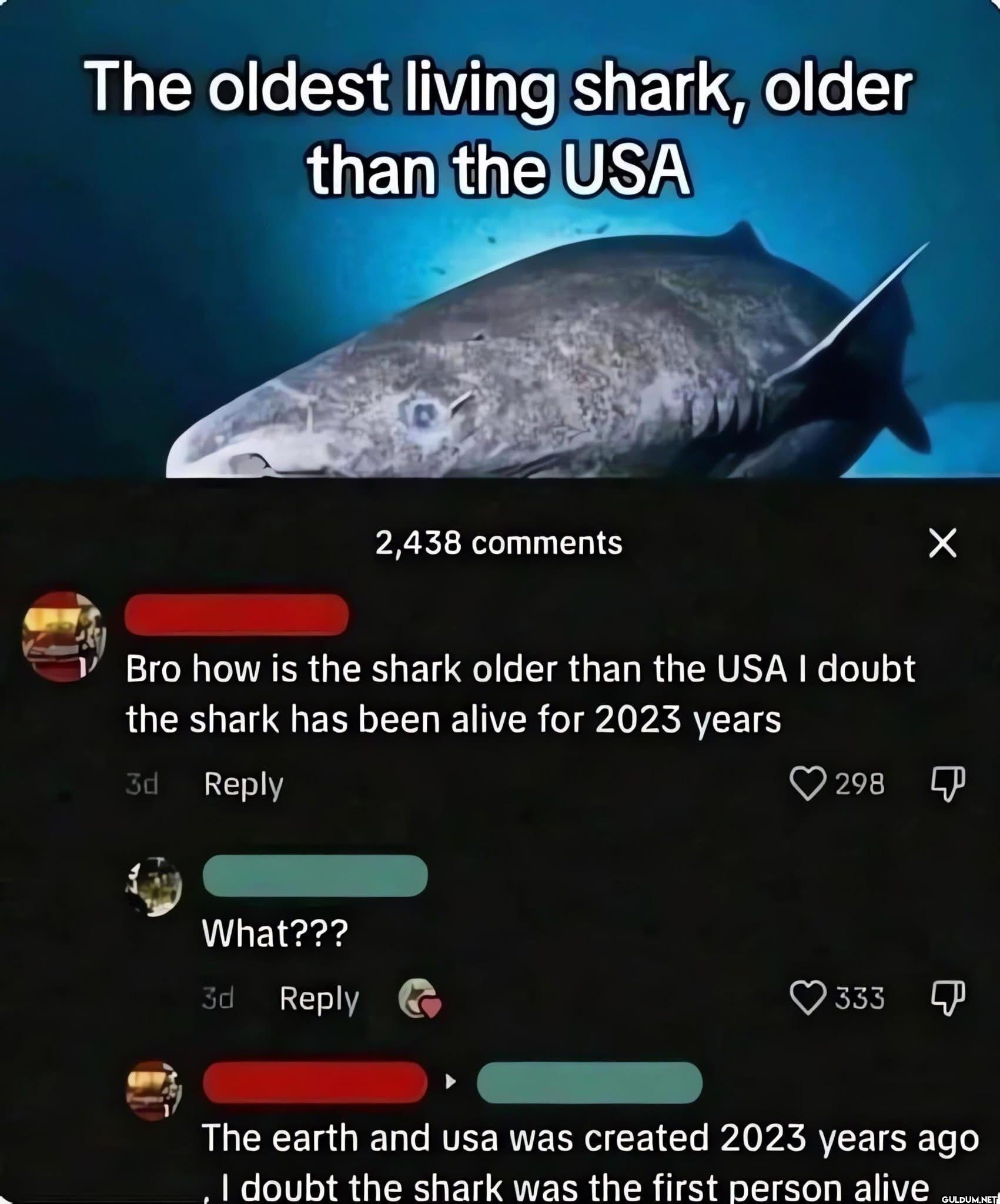 The oldest living shark,...