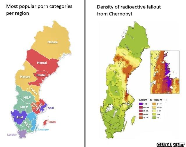 Sweden's porn preferences...