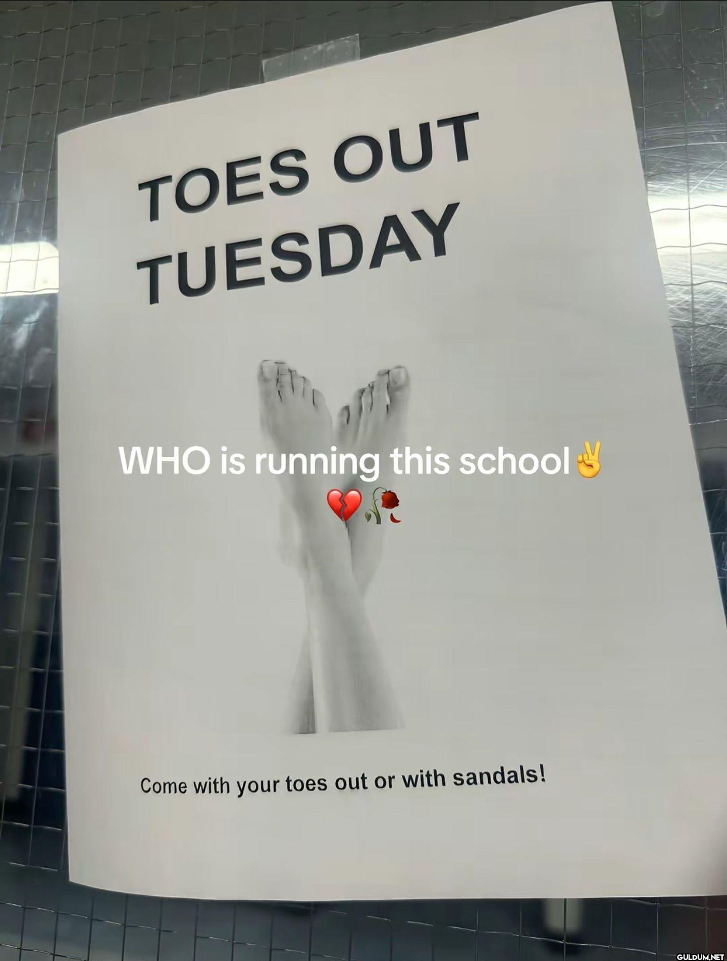 TOES OUT TUESDAY WHO is...