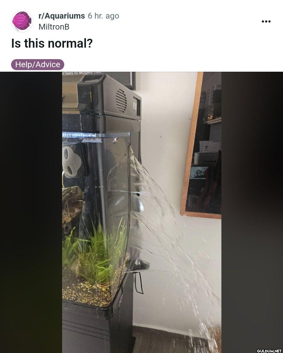 r/Aquariums 6 hr. ago...