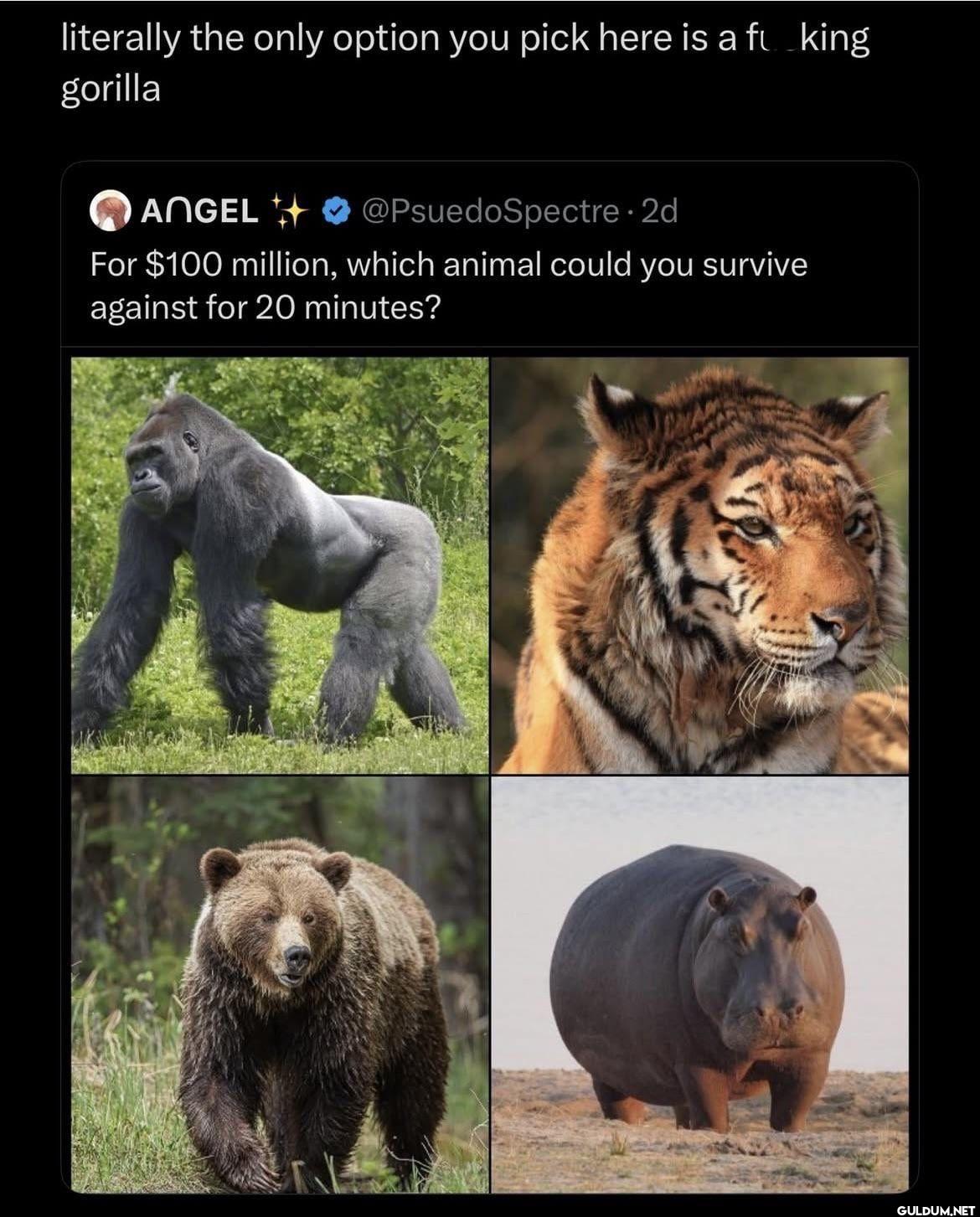 literally the only option...