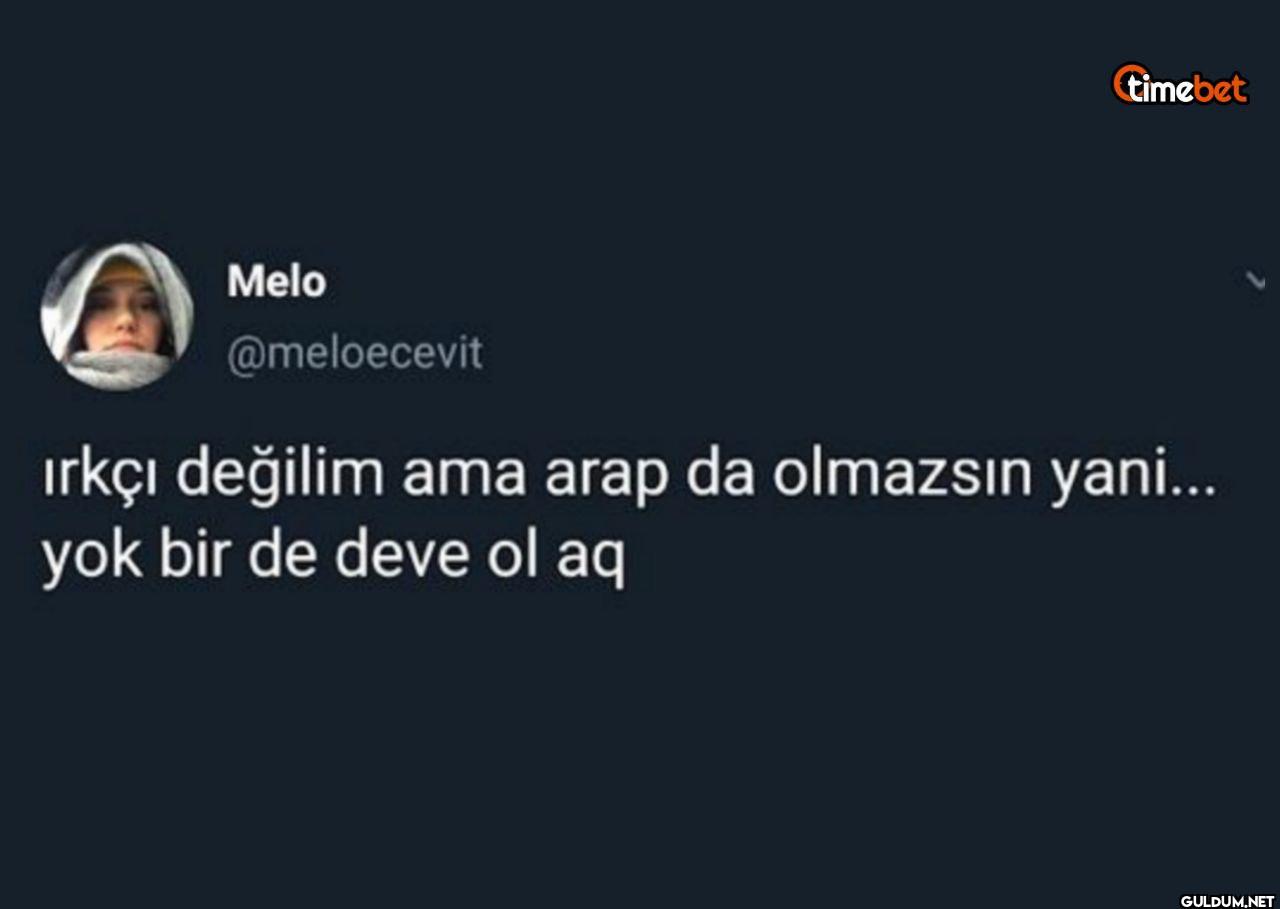 ırkçı değilim ama arap da...