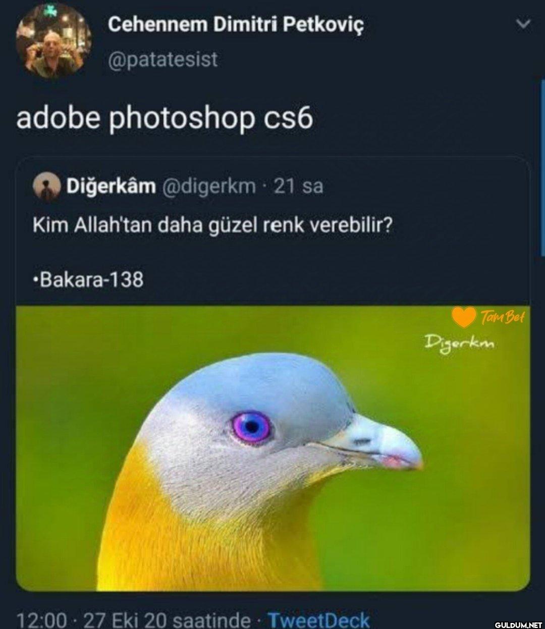 adobe photoshop cs6...