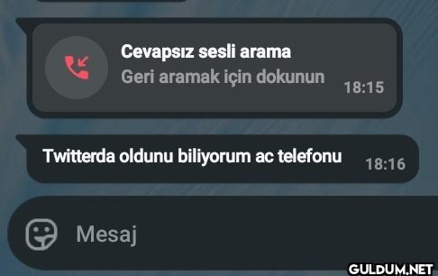 Cevapsız sesli arama Geri...
