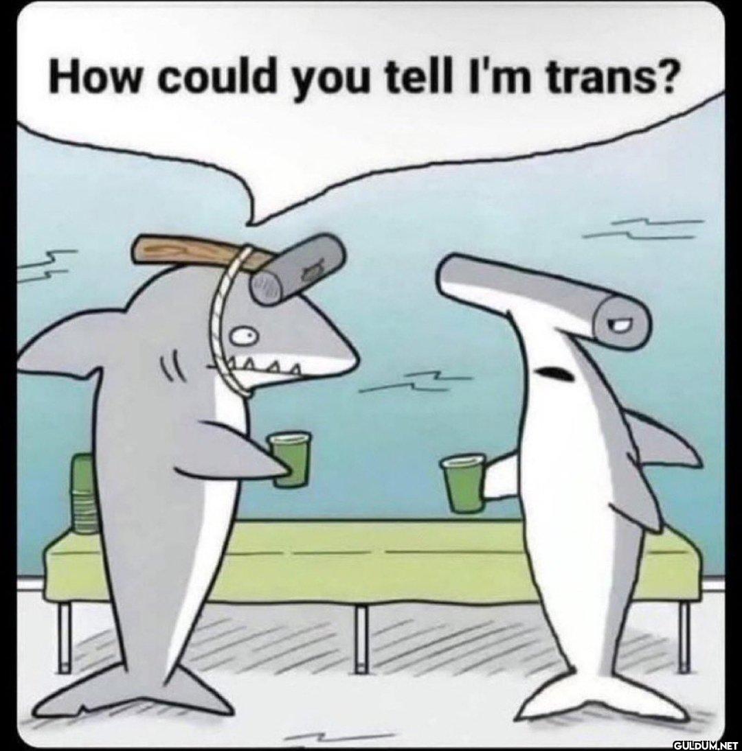 🧐    How could you tell I'm trans?