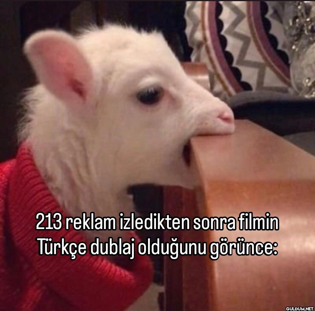 213 reklam izledikten...