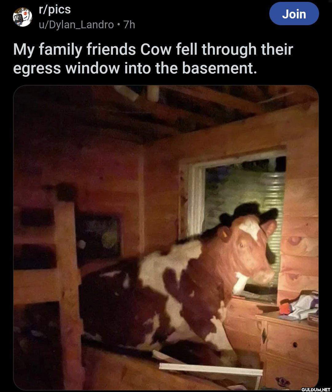 r/pics u/Dylan_Landro .7h...