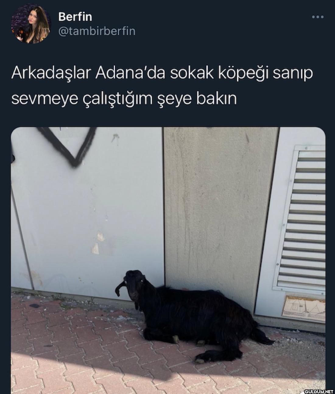 Arkadaşlar Adana'da sokak...
