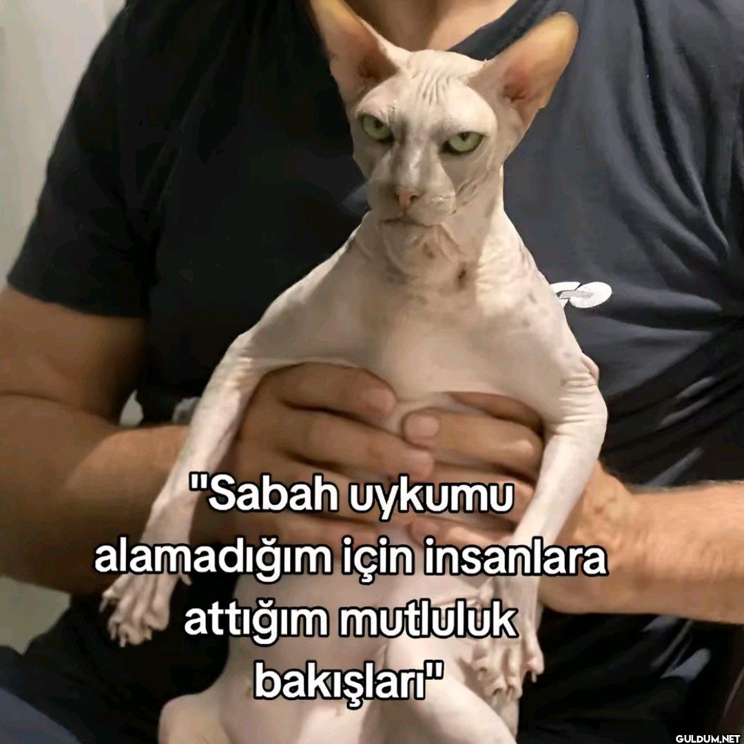 "Sabah uykumu alamadığım...