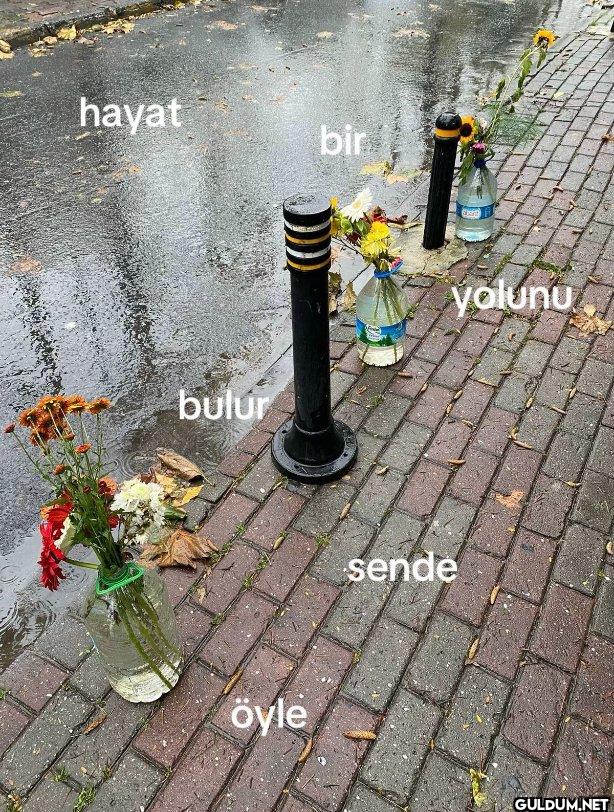 hayat bir bulur yolunu Öyle sende