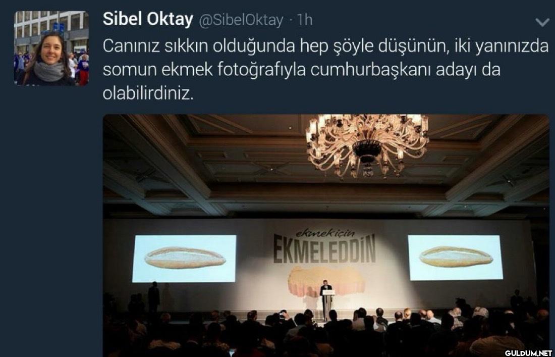 1h Canınız sıkkın...