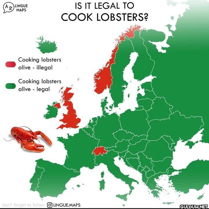 Is it legal to cook...