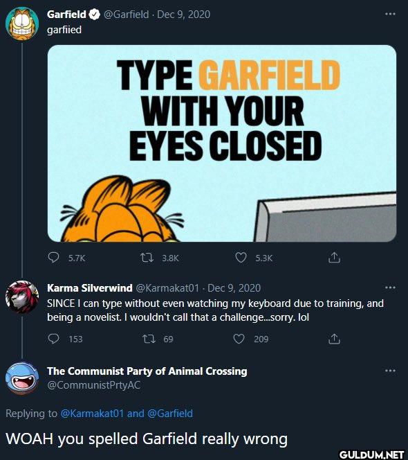 Dec 9, 2020 TYPE GARFIELD...