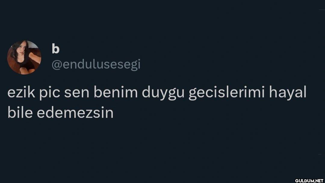 ezik pic sen benim duygu...