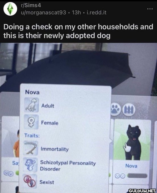 r/Sims4 u/morganascat93...