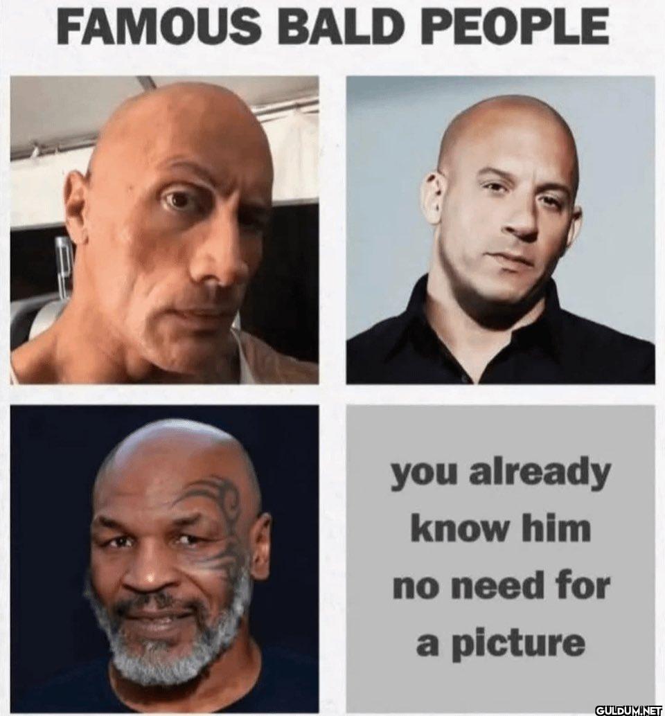 FAMOUS BALD PEOPLE you...