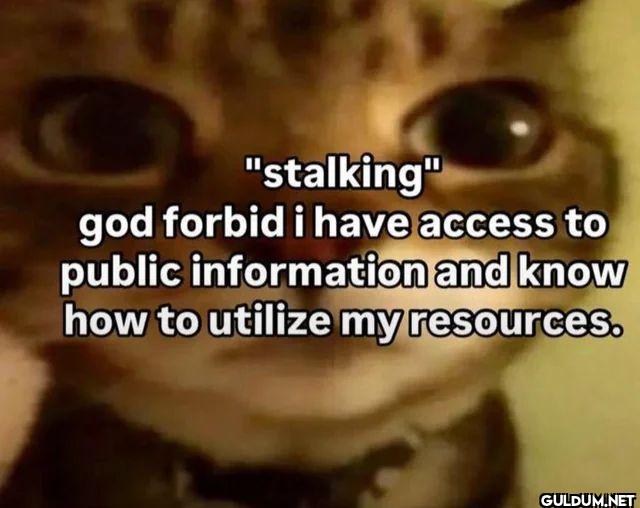stalking god forbid i have...