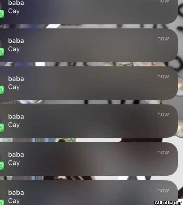 baba Cay baba now Cay baba...