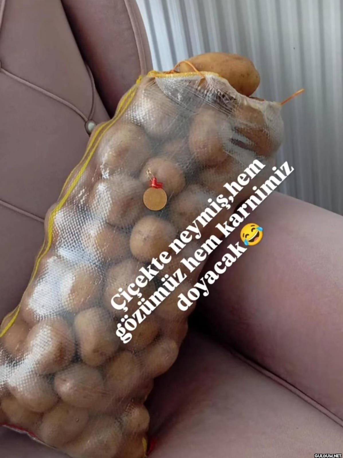 Ülkede mutlu olan tek...