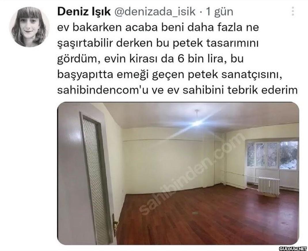 1 gün . ev bakarken acaba...