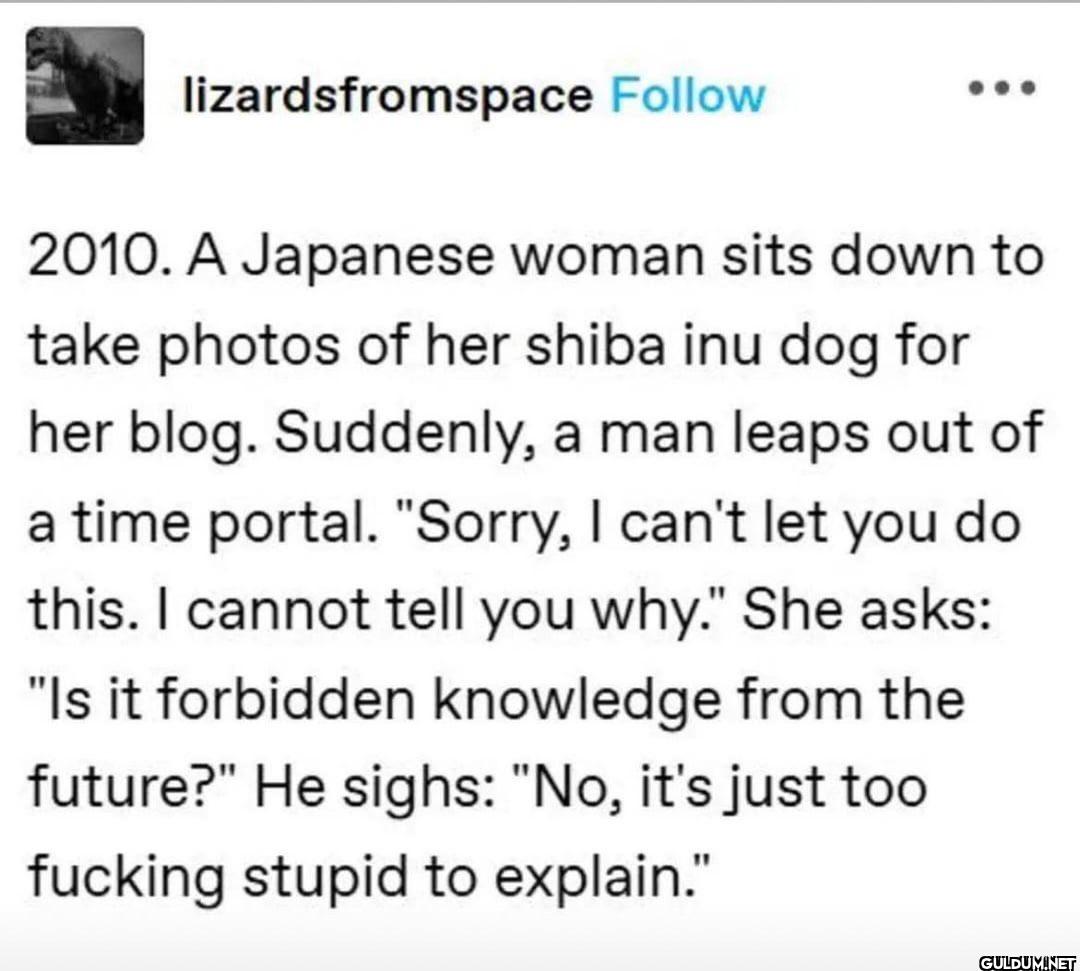 lizardsfromspace Follow...