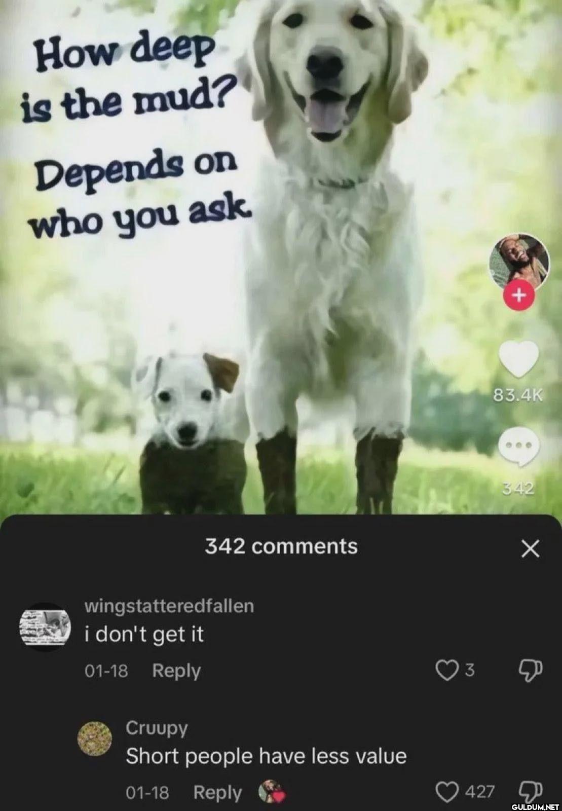 How deep is the mud?...